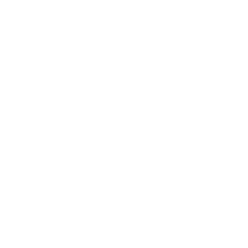 Festival